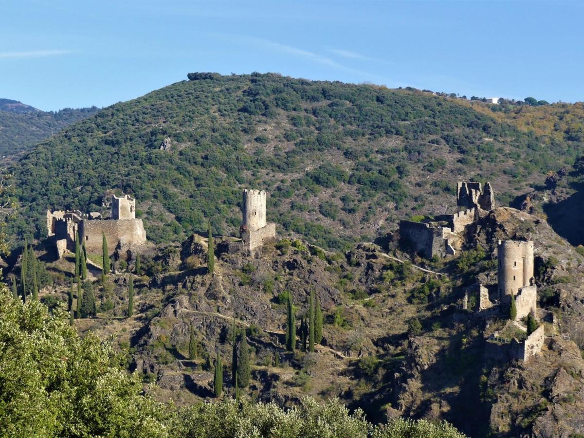 Au Soleil Couchant Villemoustaussou Екстериор снимка